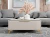 Couchtisch Xylix 1SZ mit Schublade (Farbe: Sandbeige) Bild 2