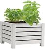 BooGardi Pflanzkübel Pflanzkasten Holz mit Vlies · 2 Größen & 4 Farben (1 St, Blumenkasten quadratisch · 38x38x25cm Weiß · klein), Blumenkübel für Balkon, Terrasse & Garten Bild 4