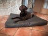 Aumüller Hundekissen Basic Line, Braun - 78 cm Bild 4