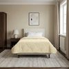 vidaXL Sommerdecke Creme 135 x 220 cm Mikrofaser und Teddy-Fleece 42026222 Bild 4