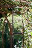 ELEO Eisenpavillon oval Verona 4 x 2,85 m unbeschichtet Bild 5