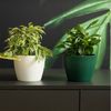KAGM Blumentopf Übertopf Pflanztopf Rillenoptik Kunststoff UV-beständig Bild 3