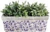 esschert design Blumenkasten (Set, 1 St), Blumenkasten aus Keramik Bild 3