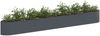 vidaXL Hochbeet im Garten Anthrazit 380 x 40 x 40 cm Stahl 8011735 Bild 3
