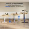 FLEXISPOT Schreibtisch Elektrisch Höhenverstellbarer Schreibtisch EC5 LITE mit Dualmotor (25MM einteiliger Tischplatte & 3-fach Teleskop, 4 Speicherhöhen & Antikollisionssystem), 120x80/140x80/160x80/180x80 Bild 4