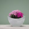 matches21 HOME & HOBBY Blumentopf Hohe Pflanzschale oval Vintage hell-grau 20 x 12 cm wetterfest (1 St), Schiffchen Deko-Schale als Tischdeko Blumen-Schale Outdoor Garten-Deko Bild 4
