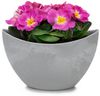 matches21 HOME & HOBBY Blumentopf Hohe Pflanzschale oval Vintage hell-grau 20 x 12 cm wetterfest (1 St), Schiffchen Deko-Schale als Tischdeko Blumen-Schale Outdoor Garten-Deko Bild 2