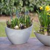 matches21 HOME & HOBBY Blumentopf Hohe Pflanzschale oval Vintage hell-grau 20 x 12 cm wetterfest (1 St), Schiffchen Deko-Schale als Tischdeko Blumen-Schale Outdoor Garten-Deko Bild 3