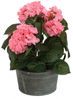 colourliving Blumentopf Pflanztopf Zinktopf Old Green 24cm Ø rund (1 St), langlebig, dekorativ, handbemalt Bild 4