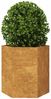 vidaXL Pflanzkübel 2 Stk. Sechseckig 46x40x45 cm Wetterfester Stahl 851121 Bild 5