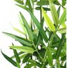 Pflanze Bambus Pflanzschale Pflanzkorb Blumentopf Pflanztopf Übertopf Bild 3