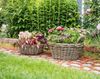 Pflanzschale Rattan groß Pflanzschale Pflanzkorb Blumentopf Pflanztopf Übertopf Bild 2