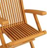 vidaXL Gartenstühle mit Grauen Kissen 3 Stk. Massivholz Teak 3062515 Bild 5