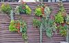 6 x Blumentopf Hngetopf Pflanztopf Hngetpfe Blumen Topf Krutertopf Zink Bild 4