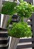 6 x Blumentopf Hngetopf Pflanztopf Hngetpfe Blumen Topf Krutertopf Zink Bild 3