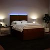 vidaXL Boxspringbett mit Matratze Rosa 140x190 cm Samt 3294633 Bild 5