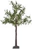 Künstlicher Olivenbaum ,Olivec, klein, 108 LEDS, outdoor, H 120cm Bild 4