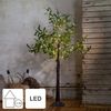 Künstlicher Olivenbaum ,Olivec, klein, 108 LEDS, outdoor, H 120cm Bild 2