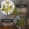 Künstlicher Olivenbaum ,Olivec, klein, 108 LEDS, outdoor, H 120cm Bild 3