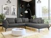 Ecksofa Bakira (Farbe: Monolith 92, Seite: Rechts 2R-OT) Bild 2