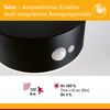 Paulmann 94730 Solar LED Außenwandleuchte Eileen mit Bewegungsmelder Bild 3