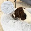lionto Donut Hundebett, rundes Hundesofa mit Plüschbezug & Anti-Rutsch-Noppen, weich & gemütlich, 100 cm Durchmesser, hellgrau Bild 4