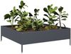vidaXL Hochbeet Anthrazit 100x100x33,5 cm Stahl 851026 Bild 3