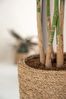 finestgreen Pflanzkübel Cody Straw Grass handgewebter Pflanzkorb Bild 2