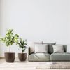 Blumentopf Rio Greener 35 cm rost – Pflanzgefäß aus recyceltem Polypropylen UV- und temperaturbeständig leicht schlagfest für Indoor und Outdoor Bild 2
