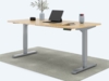 Desktopia Pro X - Elektrisch höhenverstellbarer Schreibtisch / Ergonomischer Tisch mit Memory-Funktion, Bambus Echtholz, Gestell Grau, 160x80 cm