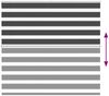 vidaXL Doppelrollo Schwarz 155x100 cm Stoffbreite 150,9 cm Polyester 4014220 Bild 5