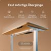 Desktronic HomeOne Elektrisch höhenverstellbarer Schreibtisch 160x80cm Weiß/Eiche mit Memory-Funktion, Anti-Kollisions Technologie, USB-A und USB-C-Ladeanschlüssen Bild 3