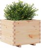 vidaXL Pflanzkübel 60x60x49,5 cm Massivholz Kiefer 847358 Bild 4