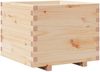 vidaXL Pflanzkübel 60x60x49,5 cm Massivholz Kiefer 847358 Bild 2