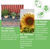 Solar-Gartenstrahler in Form eines Steins SOLAR Bild 4