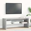 vidaXL TV-Schrank Grau Sonoma 100x40x40 cm Holzwerkstoff 859123 Bild 3
