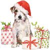 Paperproducts Design Servietten 33x33 Christmas Pup Bild 1