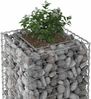 vidaXL Gabionen Hochbeet Silber 42033326 Bild 4