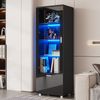 LED Vitrine 40x50x160 cm Schwarz Hochglanz mit Acryl-Glastüren und Glasböden, Aufbewahrungsschrank mit LED-Beleuchtung 20 Farben Bild 3