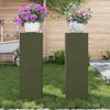 vidaXL Pflanzenständer 2 pcs Olivgrün 24 x 24 x 75 cm Stahl 865823 Bild 4
