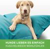 Green Bean® Hundebett für mittlere & große Hunde 140x180cm Hundekissen - Türkis Bild 5