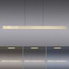 Paul Neuhaus 2545-60 PURE MOTO-RISE LED Pendelleuchte messing matt höhenverstellbar ausziehbar Bild 5
