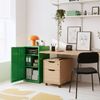 Metallschrank Burlöv Stahl Apfelgrün [en. casa] Bild 2