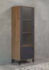 'Montez' Vitrine, Graphite grau und Eiche Kraft Gold, 63 x 172 x 40 cm Bild 4