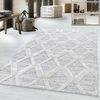 Teppich PISA GREY 120 X 170cm Rechteck Bild 5
