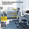 Ergonomischer Bürostuhl mit klappbarer Rückenlehne und 2D Bild 5