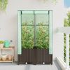 vidaXL Hochbeet mit Gewächshaus-Aufsatz Rattan-Optik 80x40x138 cm 4015800 Bild 3