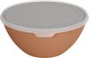Rotho Schüssel + Deckel Caruba 8 L coral clay Bild 2
