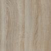 Vitrine Link 80 LI02, ohne Beleuchtung, Farbe: Sonoma Eiche Bild 5