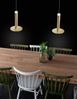 Nova Luce 1703301201 PALENCIA LED Pendelleuchte 1-flammig 3000K Messing Gold Bild 3